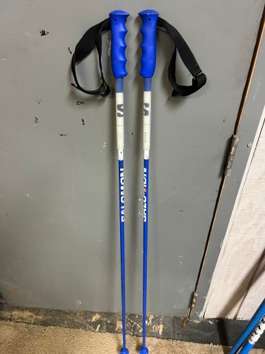 Salomon 130 GS Carbon Fiber Ski Poles