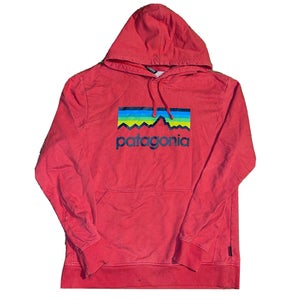 Patagonia Organic Cotton Hoodie Sweatshirt Mens Size Small