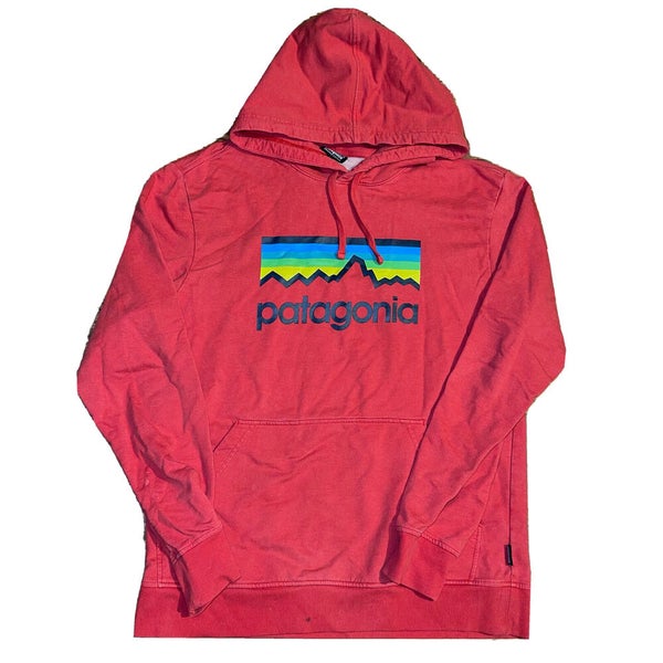 Patagonia Organic Cotton Hoodie Sweatshirt Mens Size Small