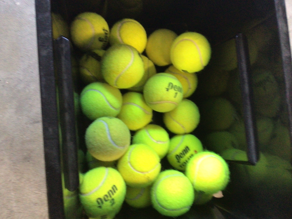 28 penn tennis balls