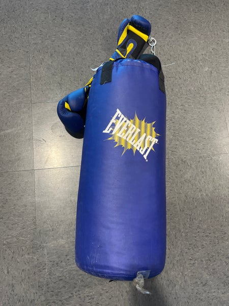 Used Everlast Gloves & Pads