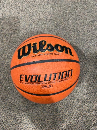 Wilson Evolution Indoor Game Ball