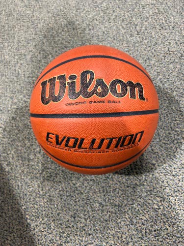 Wilson Evolution Indoor Game Ball