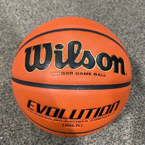 Wilson Evolution Indoor Game Ball