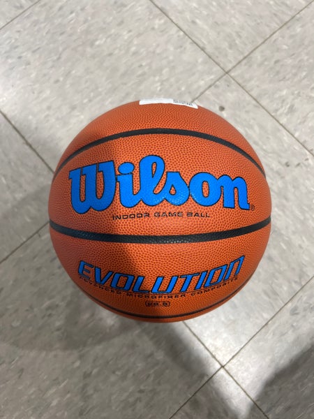 Wilson Evolution Indoor Game Ball