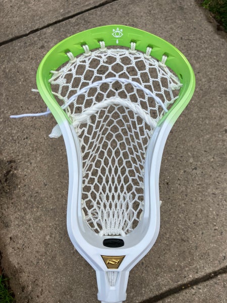 Legend Of Zelda True Dynamic Head