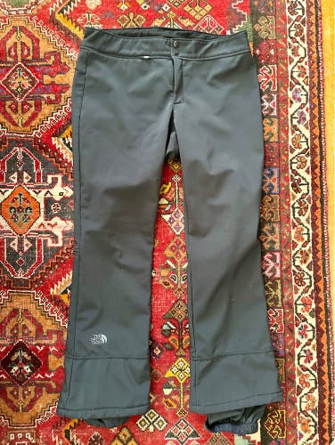 The North Face Women’s Apex STH pants