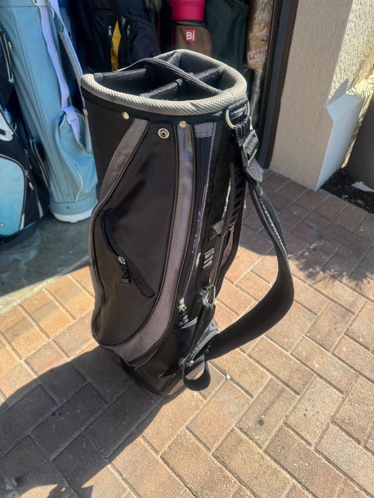 Wilson Golf Cart Bag with club dividers