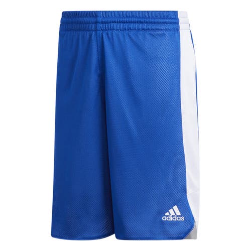 Adidas Boys Reversible CG1290 Size XLarge Royal Blue White Basketball Shorts New