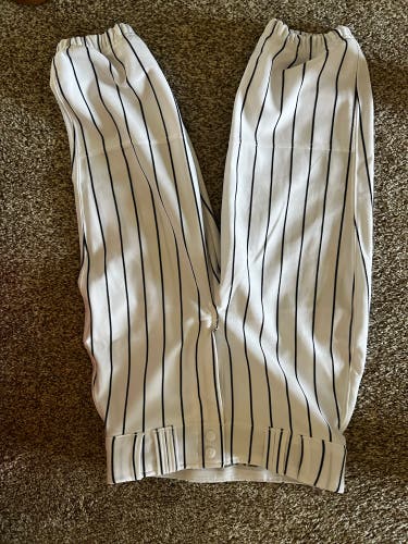 Champion Baseball Navy Blue Striped pant