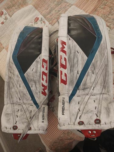 Used 34" Regular Pro Stock Premier II Pro Goalie Full Set