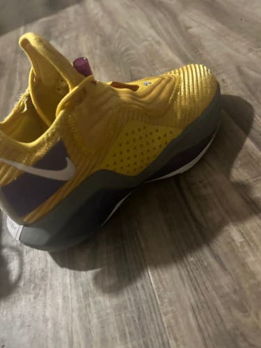 Nike basketball shoes Lebron Soldier 14