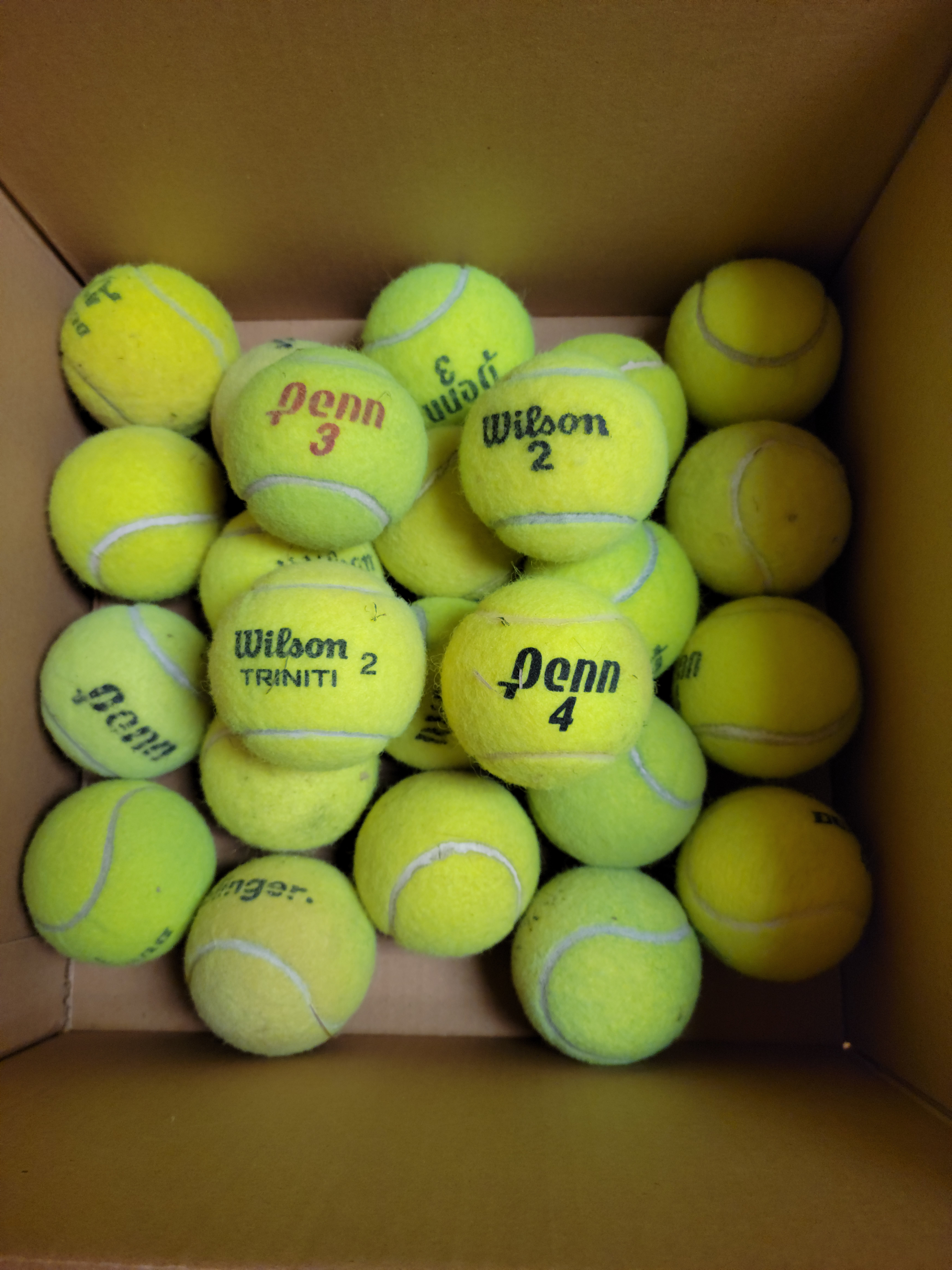 Used Tennis Balls 24 Pack (2 Dozen)