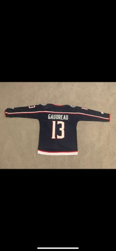 Gaudreau Huberdeau And O’Reilly Jerseys Each For $100