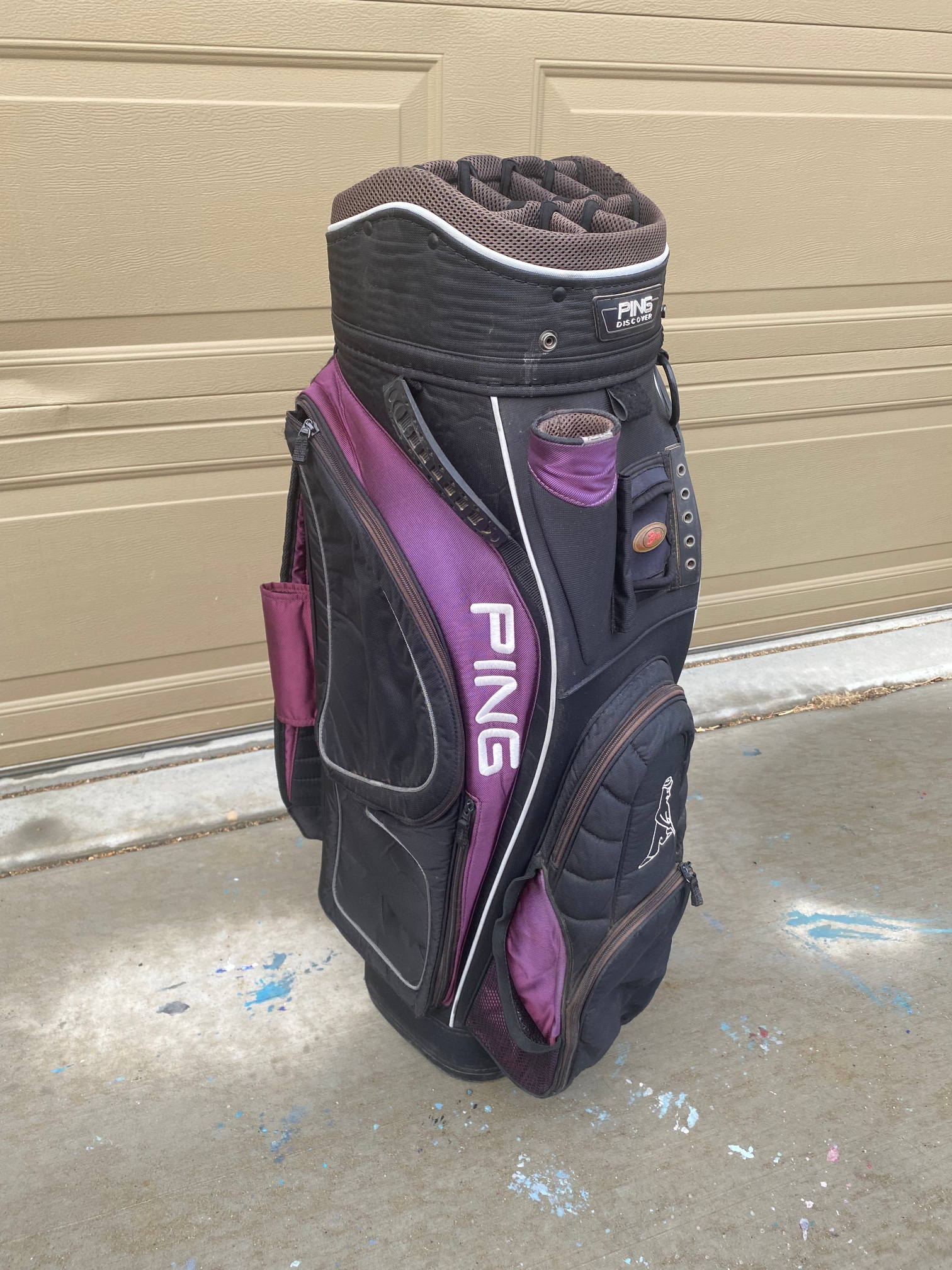 Used Men's Ping Carry Bag