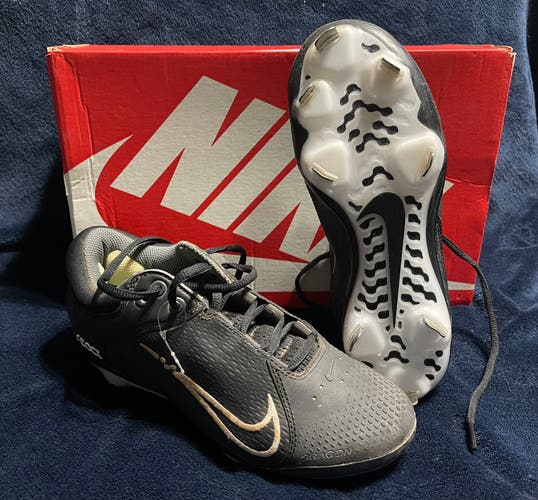 Nike Baseball/Softball cleats