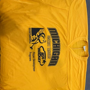 USA HOCKEY MICHIGAN PLAYER DEVELOPMENT PROGRAM