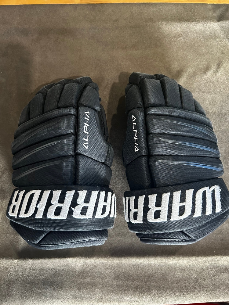 Warrior 10"  Alpha QX4 Gloves