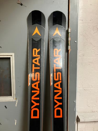 Dynastar FIS GS Sticker/DT Skis