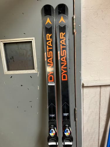 Dynastar FIS GS Sticker/DT Skis (European Cup)