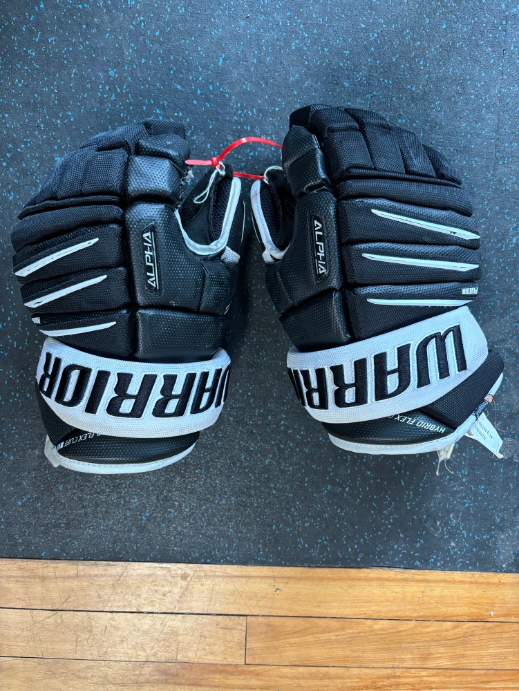 Used Warrior 14" Pro Stock Alpha QX Gloves