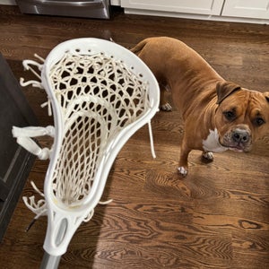 Warrior Mini Evo Pro Stick And Brine Clutch Mini