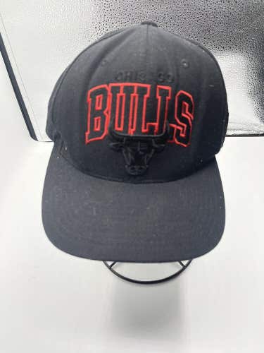 mitchell & Ness Hardwood Classics Chicago Bulls NBA Hat Cap