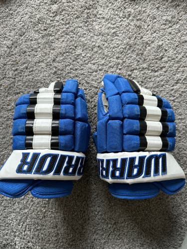 Used Warrior 12" Gloves