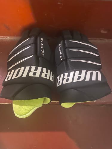 Warrior 12" Alpha QX5 Gloves