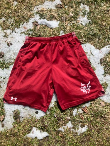 Brewster Academy Shorts under armour large