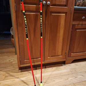 Leki Racing World Cup Lite 3D GS Ski Poles 44in (110cm)