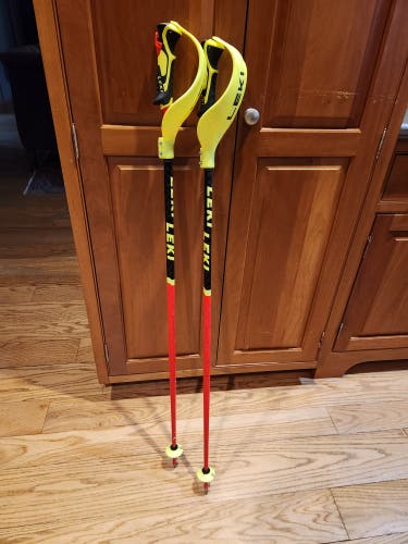 Leki Racing World Cup Lite SL Ski Poles with Guards