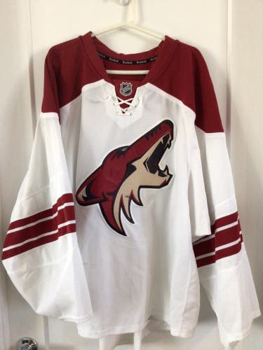 Coyotes Authentic Goalie Cut Jersey