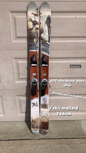 Unisex 166 cm Without Bindings Vacation Skis
