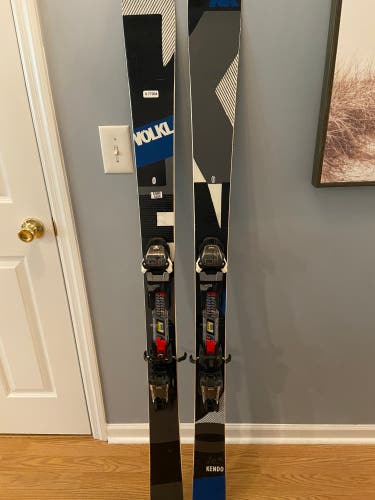 Used 163 cm Kendo Skis