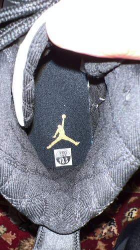 Air Jordan 12 retro royalty CT 8013-170 /man’s size: 10.5;