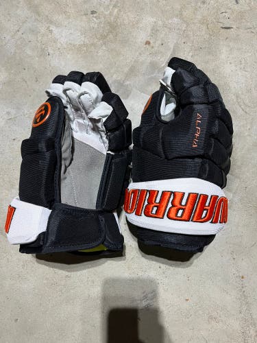 Philadelphia Flyers Team gloves 13