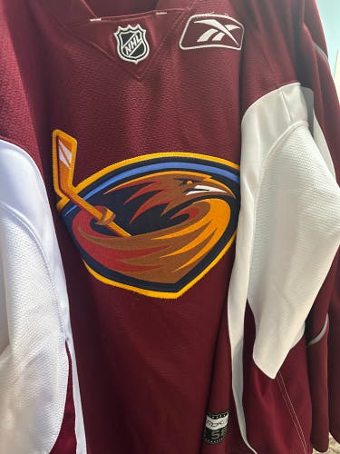 Atlanta Thrashers practice jersey 58g