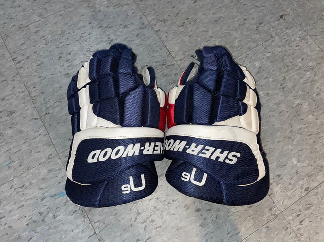 Used  Sher-Wood 14" Gloves
