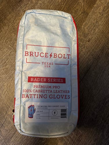 Used Large Bruce Bolt Batting Gloves
