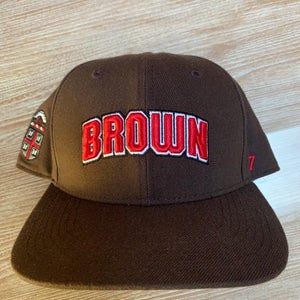 Brown Bears Hat