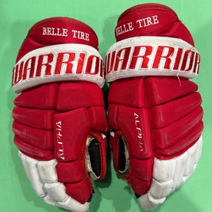 Used Junior Warrior Alpha Gloves 12"