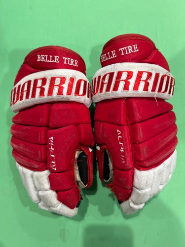 Used Junior Warrior Alpha Gloves 12"