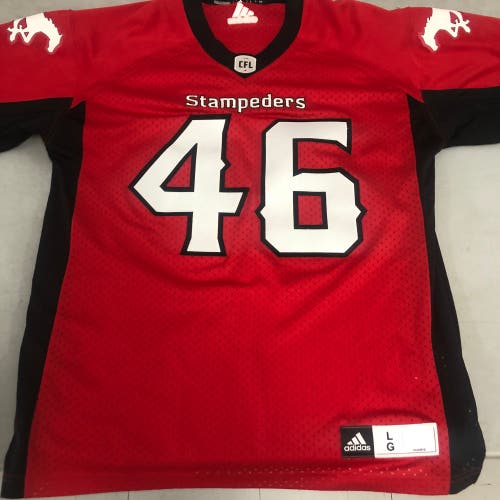 Calgary Stampeders jersey mens large