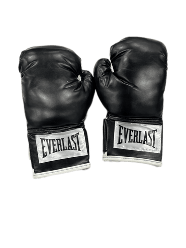 Used Everlast Youth Other Boxing Gloves