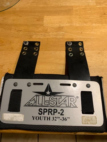 Used Youth All Star SPRP-2 Backplate