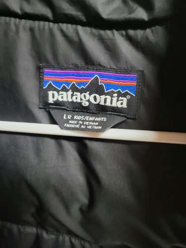 Used Patagonia Lg Winter Jackets
