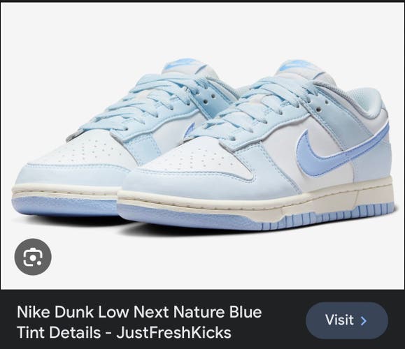 Blue New Unisex Nike Dunk Low Shoes
