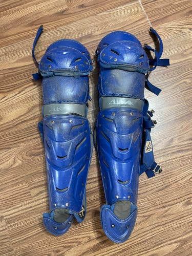 All Star Catcher's Leg Guard+evoshield Chest