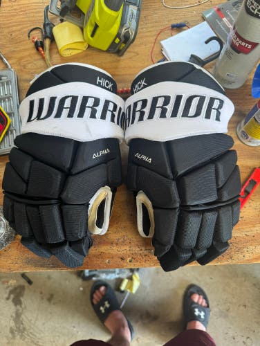 Custom warrior pro alpha gloves 14”